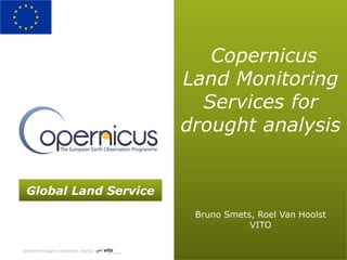 Global Land Service 
Operated through a consortium, lead by 
Copernicus Land Monitoring Services for drought analysis Bruno Smets, Roel Van Hoolst VITO  