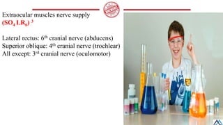 Cranial Nerve 3, 4, 6 / Cranial Nerve 3, 4, 6.pdf