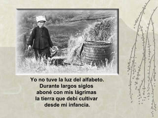 Yo no tuve la luz del alfabeto.
   Durante largos siglos
  aboné con mis lágrimas
 la tierra que debí cultivar
      desde mi infancia.
 