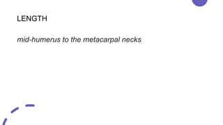 above elbow backstab as seen in adlt.pptx