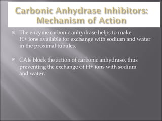 The enzyme carbonic anhydrase helps to make  H+ ions available for exchange with sodium and water in the proximal tubules. CAIs block the action of carbonic anhydrase, thus preventing the exchange of H+ ions with sodium  and water. 