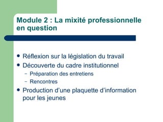 Module 2 : La mixité professionnelle en question Réflexion sur la législation du travail Découverte du cadre institutionnel Préparation des entretiens Rencontres Production d’une plaquette d’information pour les jeunes 