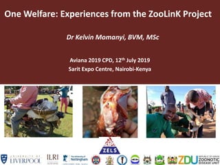 One Welfare: Experiences from the ZooLinK Project
Dr Kelvin Momanyi, BVM, MSc
Aviana 2019 CPD, 12th July 2019
Sarit Expo Centre, Nairobi-Kenya
 