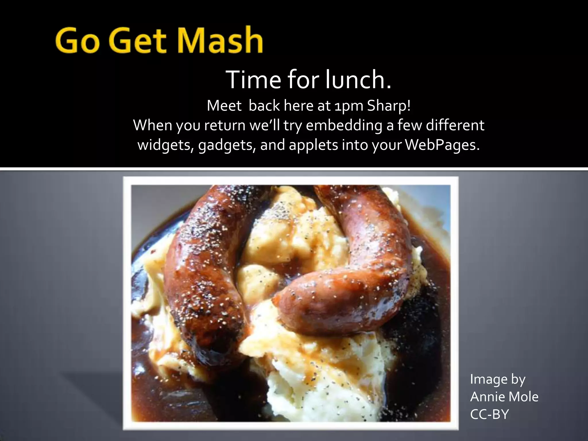 Time for lunch.
Meet back here at 1pm Sharp!
When you return we’ll try embedding a few different
widgets, gadgets, and applets into yourWebPages.
Image by
Annie Mole
CC-BY
 