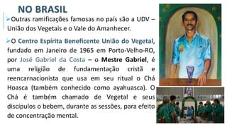 NO BRASIL
➢Outras ramificações famosas no país são a UDV –
União dos Vegetais e o Vale do Amanhecer.
➢O Centro Espírita Beneficente União do Vegetal,
fundado em Janeiro de 1965 em Porto-Velho-RO,
por José Gabriel da Costa – o Mestre Gabriel, é
uma religião de fundamentação cristã e
reencarnacionista que usa em seu ritual o Chá
Hoasca (também conhecido como ayahuasca). O
Chá é também chamado de Vegetal e seus
discípulos o bebem, durante as sessões, para efeito
de concentração mental.
 