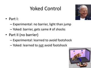 Yoked Control
• Part I:
   – Experimental: no barrier, light than jump
   – Yoked: barrier, gets same # of shocks
• Part II (no barrier)
   – Experimental: learned to avoid footshock
   – Yoked: learned to not avoid footshock
 