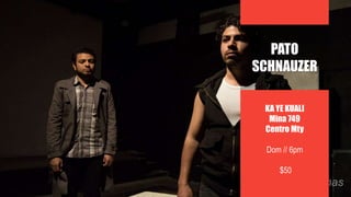 KA YE KUALI
Mina 749
Centro Mty
Dom // 6pm
$50
PATO
SCHNAUZER
 