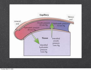 Proteinuria