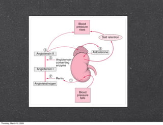 Proteinuria