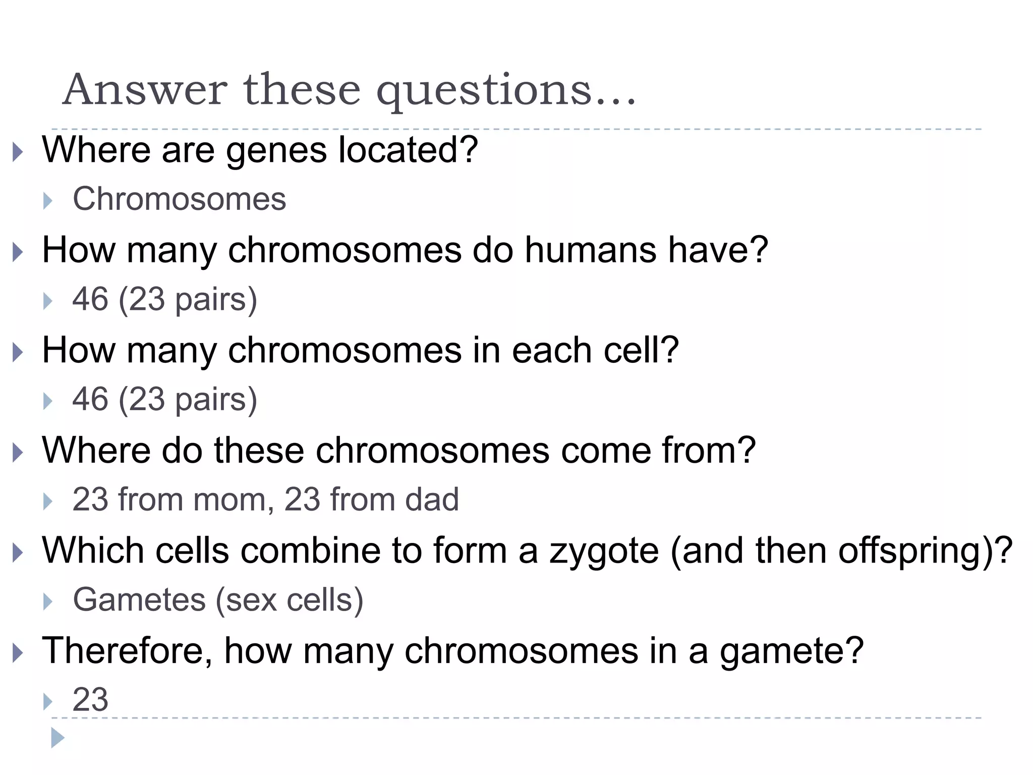 Answer these questions…


Where are genes located?




How many chromosomes do humans have?




23 from mom, 23 from dad

Which cells combine to form a zygote (and then offspring)?




46 (23 pairs)

Where do these chromosomes come from?




46 (23 pairs)

How many chromosomes in each cell?




Chromosomes

Gametes (sex cells)

Therefore, how many chromosomes in a gamete?


23

 