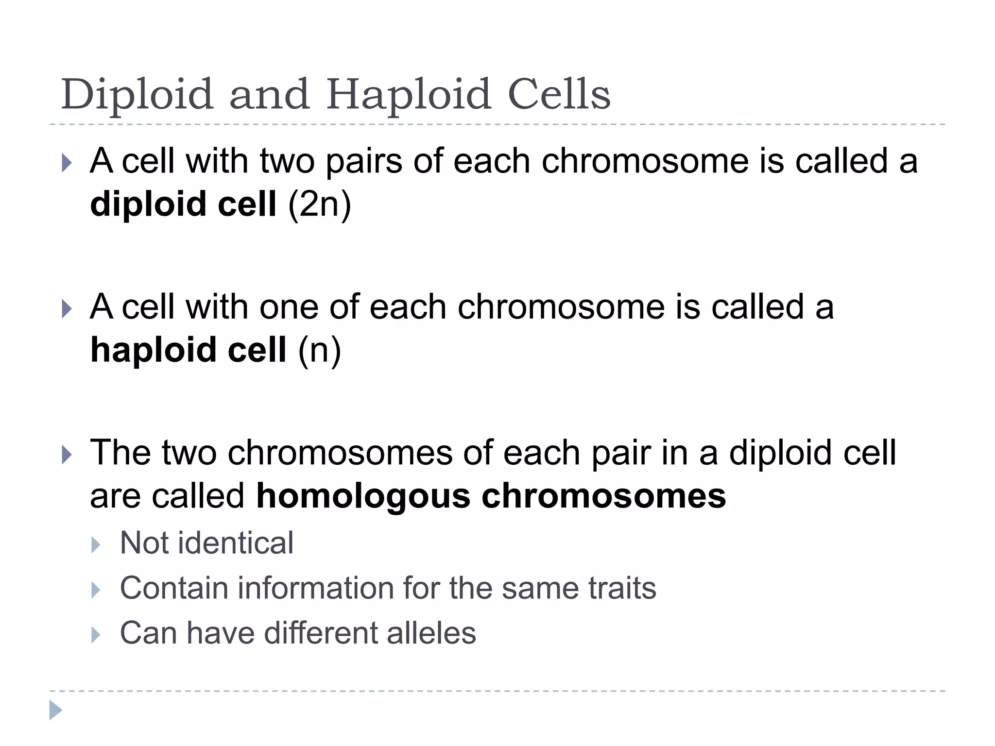 Diploid and Haploid Cells


A cell with pairs of each chromosome is called a
diploid cell (2n)



A cell with one of each chromosome is called a
haploid cell (n)



The two chromosomes of each pair in a diploid cell
are called homologouschromosomes




Not identical
Contain information for the same traits
Can have different alleles

 