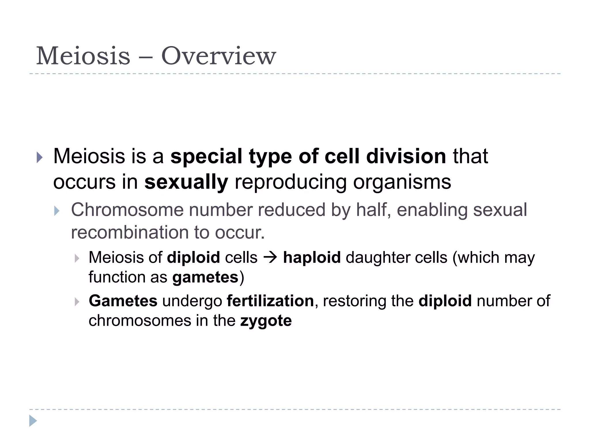 Meiosis – Overview



Meiosis is a special type of cell division that
occurs in sexually reproducing organisms


Chromosome number reduced by half, enabling sexual
recombination to occur.



Meiosis of diploid cells haploid daughter cells (which may
function as gametes)
Gametes undergo fertilization, restoring the diploid number of
chromosomes in the zygote

 