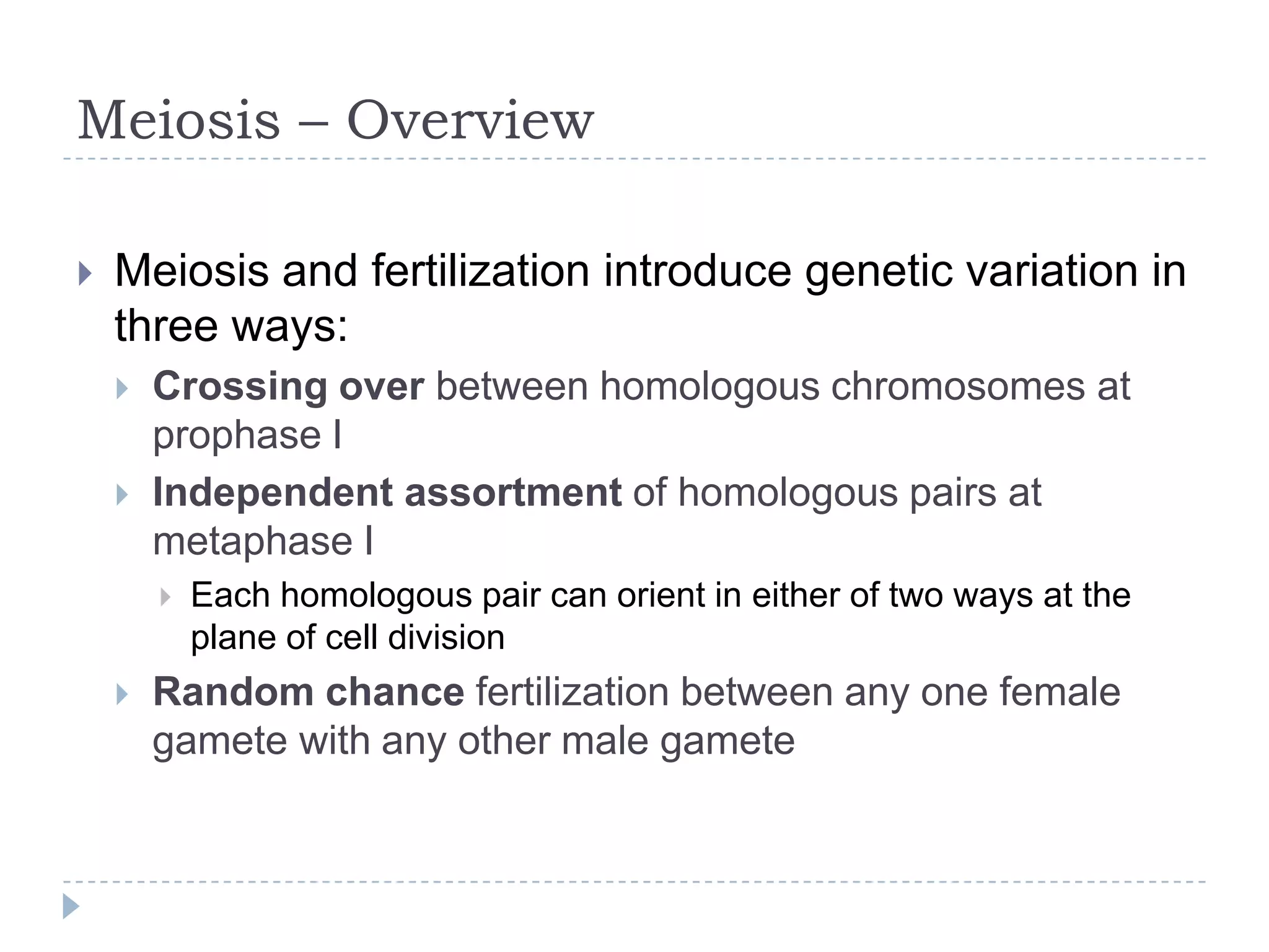 Meiosis – Overview


Meiosis and fertilization introduce genetic variation in
three ways:



Crossing over between homologous chromosomes at
prophase I
Independent assortment of homologous pairs at
metaphase I




Each homologous pair can orient in either of two ways at the
plane of cell division

Random chance fertilization between any one female
gamete with any other male gamete

 