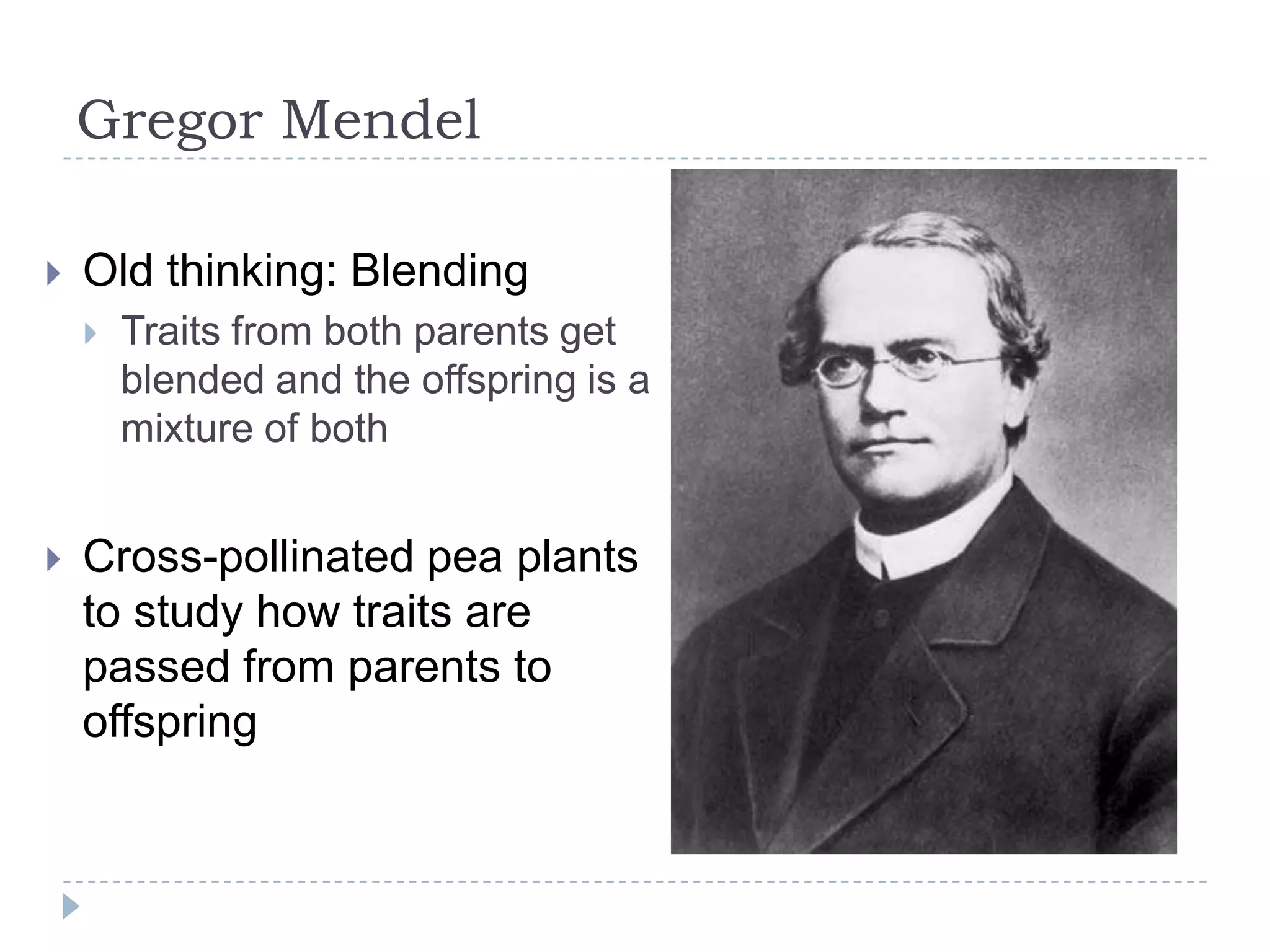 Gregor Mendel


Old thinking: Blending




Traits from both parents get
blended and the offspring is a
mixture of both

Cross-pollinated pea plants
to study how traits are
passed from parents to
offspring

 