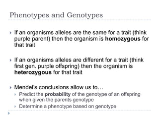 Phenotypes and Genotypes


If an organisms alleles are the same for a trait (think
purple parent) then the organism is homozygous for that
trait



If an organisms alleles are different for a trait (think first
gen. purple offspring) then the organism is
heterozygous for that trait



Mendel‟s conclusions allow us to…



Predict the probability of the genotype of an offspring when
given the parents genotype
Determine a phenotype based on genotype

 