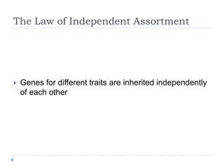 The Law of Independent Assortment



Genes for different traits are inherited independently
of each other

 