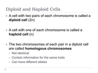 Diploid and Haploid Cells


A cell with pairs of each chromosome is called a
diploid cell (2n)



A cell with one of each chromosome is called a
haploid cell (n)



The two chromosomes of each pair in a diploid cell
are called homologouschromosomes




Not identical
Contain information for the same traits
Can have different alleles

 