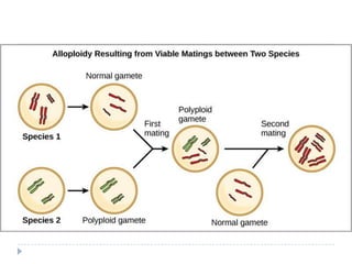 Answer these questions…


How do mutations drive evolution?




Mutations  change traits of and organism  if change
helps the organism survive the greater the chance of that
organism living long enough to reproduce  trait gets
passed down through generations

How does sexual reproduction drive evolution?


Sexual reproduction may exist because it provides
genetic variability that reduces susceptibility of a
population to pathogen attack

 