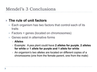 Mendel’s 3 Conclusions


The rule of unit factors




Each organism has two factors that control each of its
traits
Factors = genes (located on chromosomes)
Genes exist in alternative forms




Alleles
Example: A pea plant could have 2 alleles for purple, 2 alleles
for white or 1 allele for purple and 1 allele for white
An organism‟s two alleles are located on different copies of a
chromosome (one from the female parent, one from the male)

 