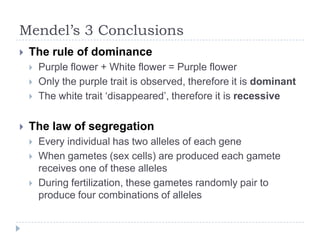 Mendel’s 3 Conclusions


The rule of dominance






Purple flower + White flower = Purple flower
Only the purple trait is observed, therefore it is dominant
The white trait „disappeared‟, therefore it is recessive

The law of segregation




Every individual has two alleles of each gene
When gametes (sex cells) are produced each gamete
receives one of these alleles
During fertilization, these gametes randomly pair to
produce four combinations of alleles

 