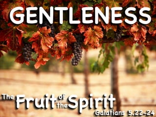 GENTLENESS


The
      Fruit Spirit
           of
          the
                Galatians 5.22-24
 