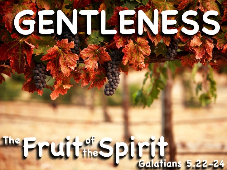 The Fruit of the Spirit is Gentleness