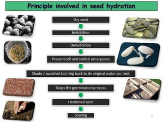 Seed quality ppt (1)