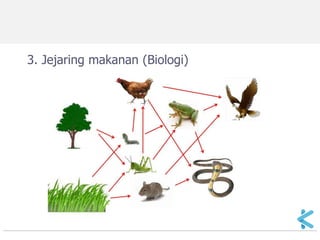 3. Jejaring makanan (Biologi)  