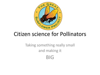Citizen science for Pollinators
Taking something really small
and making it
BIG
 