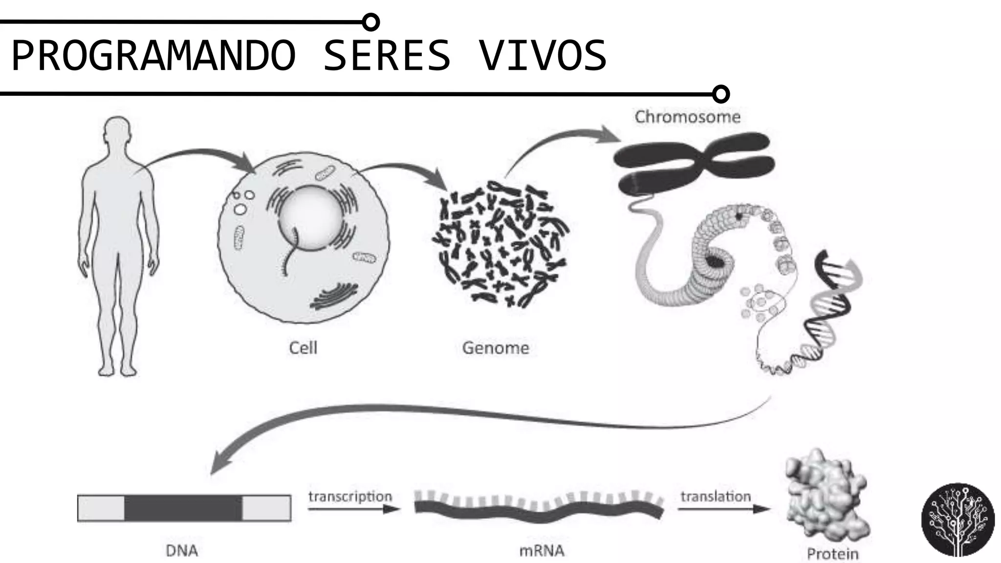 PROGRAMANDO SERES VIVOS
 