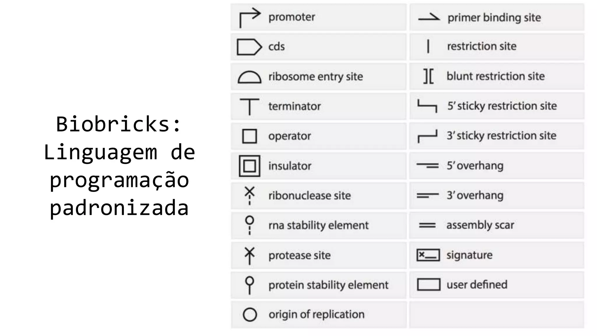Biobricks:
Linguagem de
programação
padronizada
 
