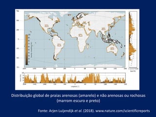 Distribuição global de praias arenosas (amarelo) e não arenosas ou rochosas
(marrom escuro e preto)
Fonte: Arjen Luijendijk et al. (2018). www.nature.com/scientificreports
 