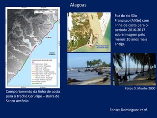 Alagoas
Comportamento da linha de costa
para o trecho Coruripe – Barra de
Santo Antônio
Foz do rio São
Francisco (Al/Se) com
linha de costa para o
período 2016-2017
sobre imagem pelo
menos 10 anos mais
antiga.
Fotos D. Muehe 2000
Fonte: Dominguez et al.
 