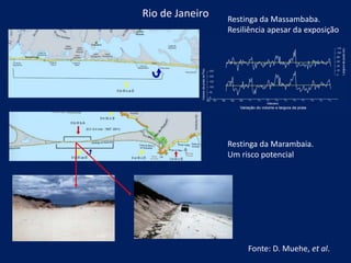 Rio de Janeiro
Restinga da Marambaia.
Um risco potencial
Restinga da Massambaba.
Resiliência apesar da exposição
Fonte: D. Muehe, et al.
 
