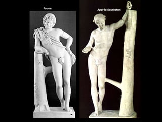 Faune Apol·lo Sauròcton 
