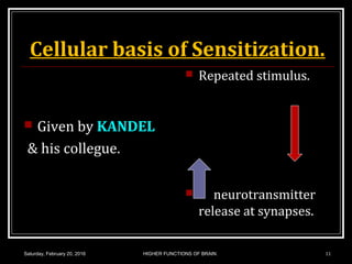 Cellular basis of Sensitization.
 Given by KANDEL
& his collegue.
 Repeated stimulus.
 neurotransmitter
release at synapses.
Saturday, February 20, 2016 HIGHER FUNCTIONS OF BRAIN. 11
 