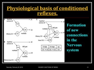 Physiological basis of conditioned
reflexes.
Saturday, February 20, 2016 19HIGHER FUNCTIONS OF BRAIN.
Formation
of new
connections
in the
Nervous
system
 