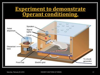 Experiment to demonstrate
Operant conditioning.
Saturday, February 20, 2016 23HIGHER FUNCTIONS OF BRAIN.
 