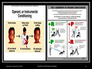 Saturday, February 20, 2016 HIGHER FUNCTIONS OF BRAIN. 25
 