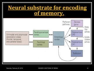 Neural substrate for encoding
of memory.
Saturday, February 20, 2016 HIGHER FUNCTIONS OF BRAIN. 41
 
