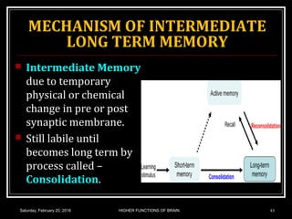 MECHANISM OF INTERMEDIATE
LONG TERM MEMORY
 Intermediate Memory
due to temporary
physical or chemical
change in pre or post
synaptic membrane.
 Still labile until
becomes long term by
process called –
Consolidation.
Saturday, February 20, 2016 HIGHER FUNCTIONS OF BRAIN. 43
 