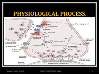 PHYSIOLOGICAL PROCESS.
Saturday, February 20, 2016 HIGHER FUNCTIONS OF BRAIN. 44
 