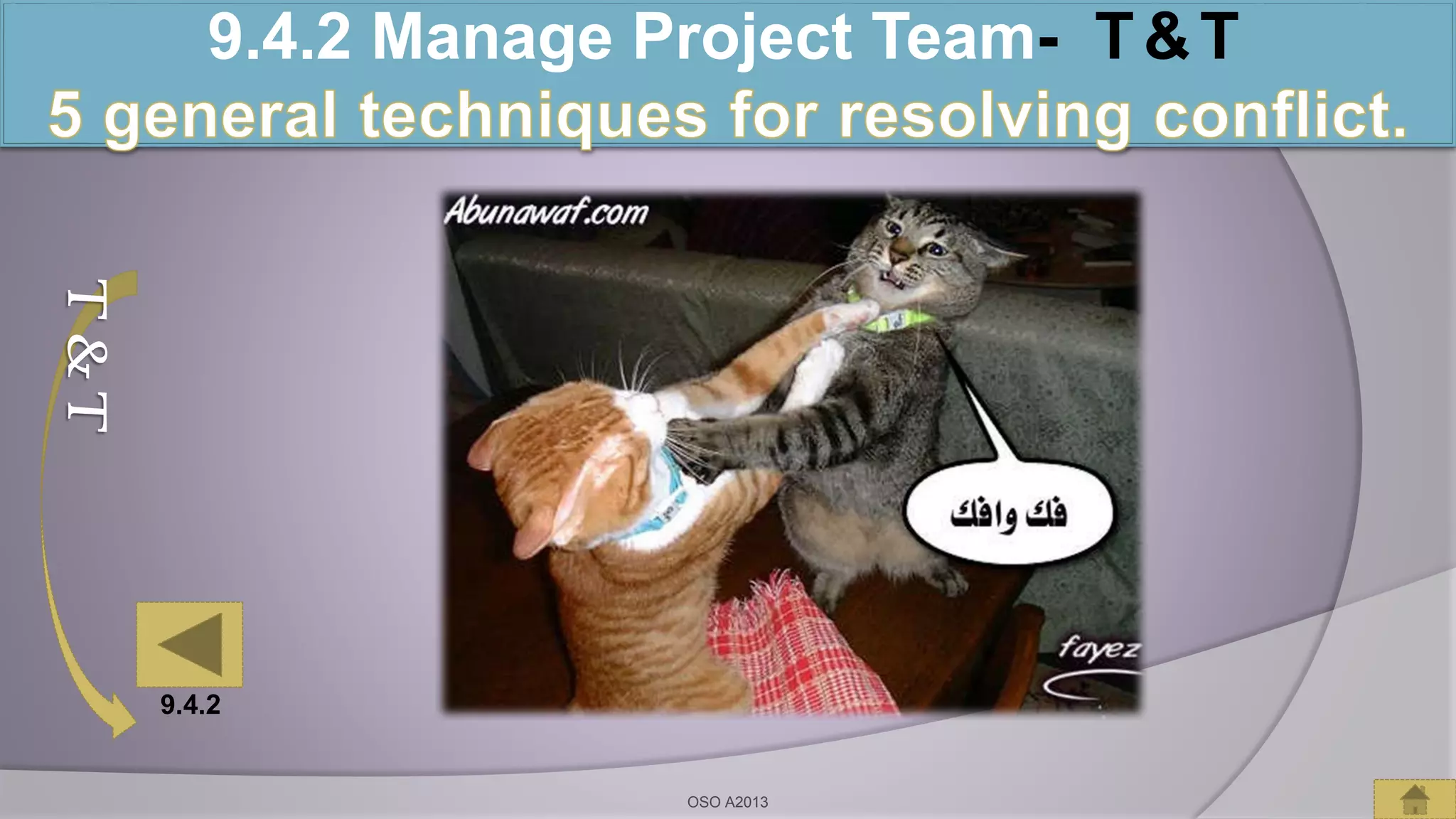 T&T 9.4.2 Manage Project Team- T&T
OSO A2013
9.4.2
 