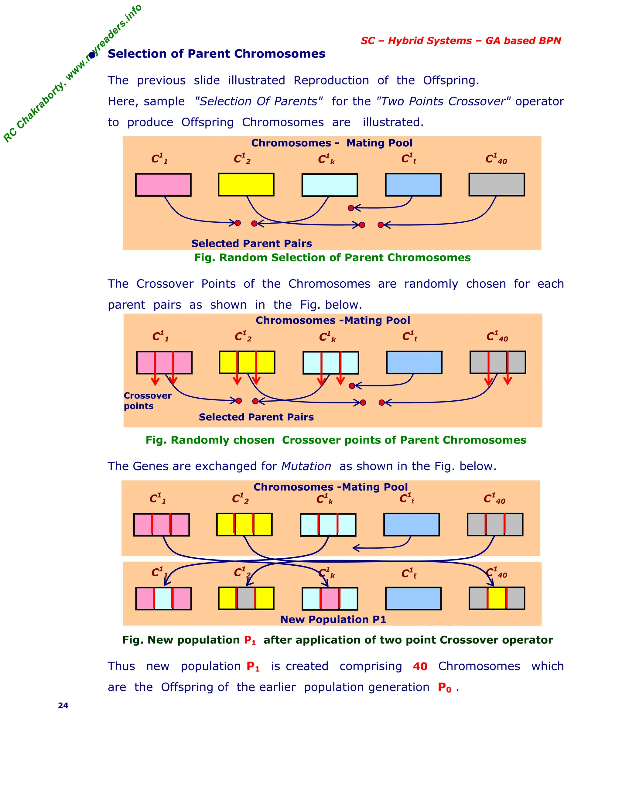 R
C
C
h
a
k
r
a
b
o
r
t
y
,
w
w
w
.
m
y
r
e
a
d
e
r
s
.
i
n
f
o
SC – Hybrid Systems – GA based BPN
• Selection of Parent Chromosomes
The previous slide illustrated Reproduction of the Offspring.
Here, sample "Selection Of Parents" for the "Two Points Crossover" operator
to produce Offspring Chromosomes are illustrated.
Fig. Random Selection of Parent Chromosomes
The Crossover Points of the Chromosomes are randomly chosen for each
parent pairs as shown in the Fig. below.
Fig. Randomly chosen Crossover points of Parent Chromosomes
The Genes are exchanged for Mutation as shown in the Fig. below.
Fig. New population P1 after application of two point Crossover operator
Thus new population P1 is created comprising 40 Chromosomes which
are the Offspring of the earlier population generation P0 .
24
Chromosomes - Mating Pool
Selected Parent Pairs
C1
1 C1
k C1
ℓ C1
40
C1
2
Chromosomes -Mating Pool
Crossover
points
Selected Parent Pairs
C1
1 C1
k C1
ℓ C1
40
C1
2
Chromosomes -Mating Pool
C1
1 C1
k C1
ℓ C1
40
C1
2
New Population P1
C1
1 C1
k C1
ℓ C1
40
C1
2
 