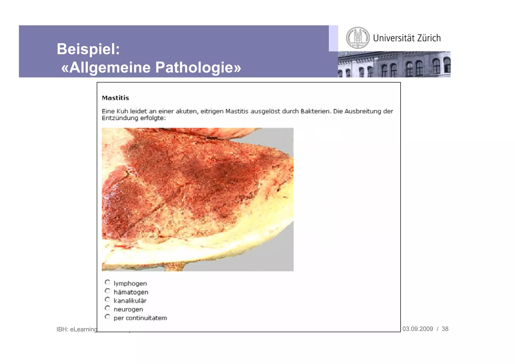 Beispiel:
«Allgemeine Pathologie»




IBH: eLearning Community Treffen   03.09.2009 / 38
 
