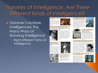 Theories of Intelligence: Are There
Different Kinds of Intelligence?
 Gardner’s Multiple
Intelligences: The
Many Ways of
Showing Intelligence
› Eight different forms of
intelligence
 