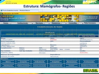 Estrutura: Mamógrafos- Regiões
 