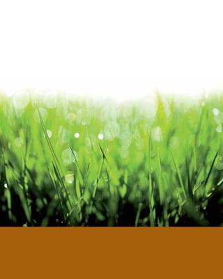 Grupo Eibar - Toki Eder - Lazkao