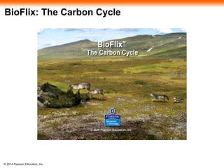 BioFlix: The Carbon Cycle 
© 2014 Pearson Education, Inc. 
 
