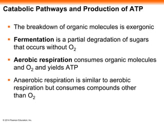 Catabolic Pathways and Production of ATP 
 The breakdown of organic molecules is exergonic 
 Fermentation is a partial degradation of sugars 
that occurs without O2 
 Aerobic respiration consumes organic molecules 
and O2 and yields ATP 
 Anaerobic respiration is similar to aerobic 
respiration but consumes compounds other 
than O2 
© 2014 Pearson Education, Inc. 
 
